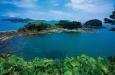 phien dich tu tieng viet sang tieng han
