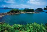phien dich tu tieng viet sang tieng han