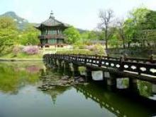 dịch sang tiếng hàn chính xác nhất