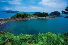 phien dich tu tieng viet sang tieng han